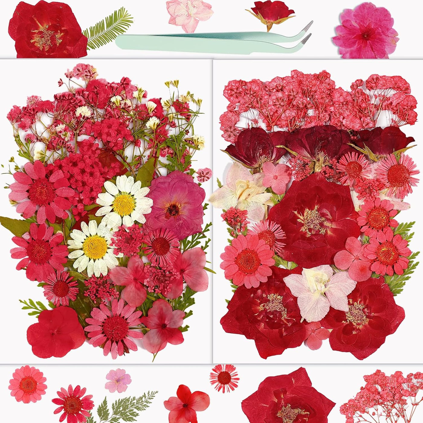 Resiners® 58Pcs Dried Pressed Flowers